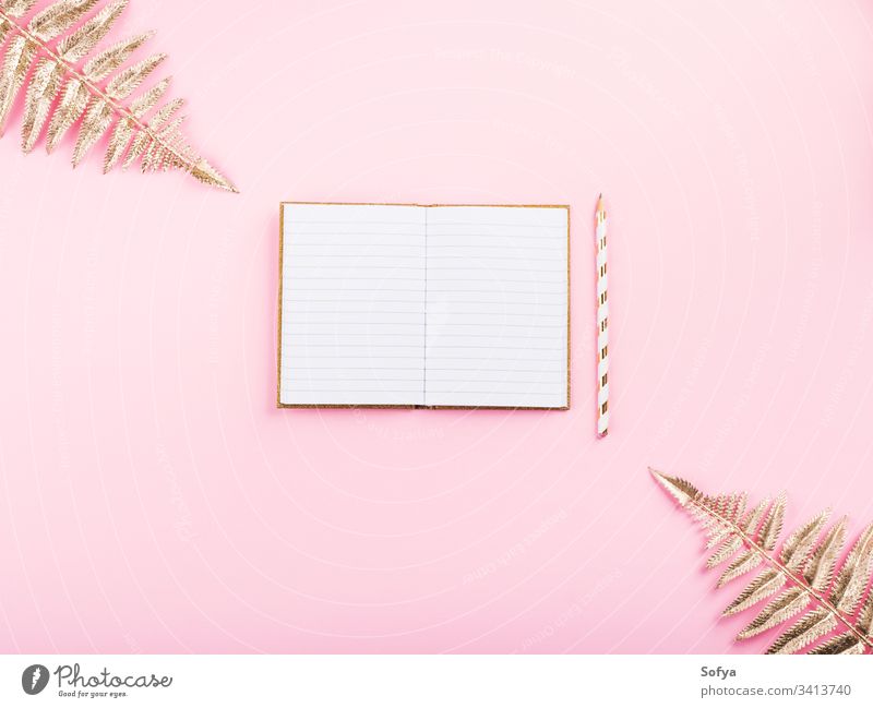 Goldene Zweige und offenes Notizbuch auf rosa Tagebuch Page weiß leer Tor schreiben Journal Plan tropisch Notizblock Schreibstift Pflanze golden Attrappe