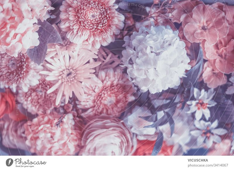 Pastellrosa und violette Blumen blühen im Hintergrund purpur Überstrahlung Farbe Blütenblatt Garten Design Muster lebhaft Haufen Eingang Ankündigung Kunst