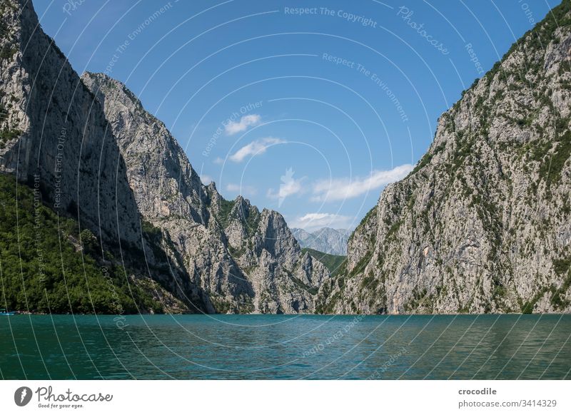 Komani Stausee in Albanien See Wasserkraftwerk Berge u. Gebirge Balkan Wald Landschaft Außenaufnahme Menschenleer Natur Umwelt blau Seeufer Schönes Wetter