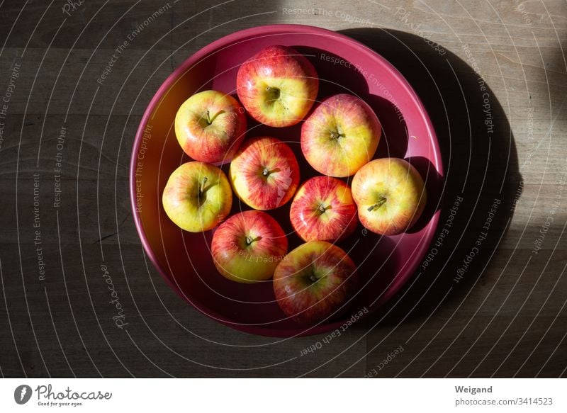 Äpfel Apfel obst Bioprodukte Herbst ernte Vegetarische Ernährung Frucht Gesundheit Farbfoto Lebensmittel frisch Gesunde Ernährung lecker Schale Achtsamkeit