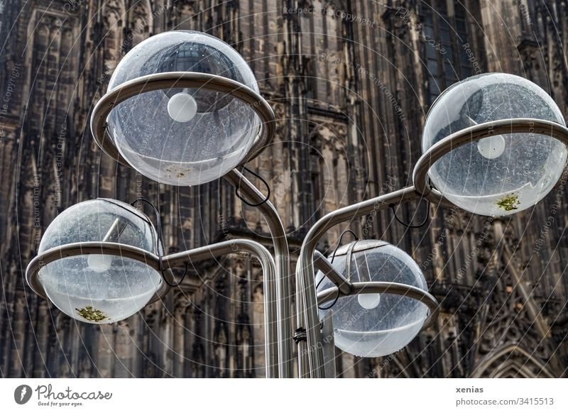 vier runde Lampen mit unscharfem Ausschnitt vom Kölner Dom im Hintergrund aus öffentlich Elektrisches Gerät Straßenbeleuchtung Halterung Technik & Technologie