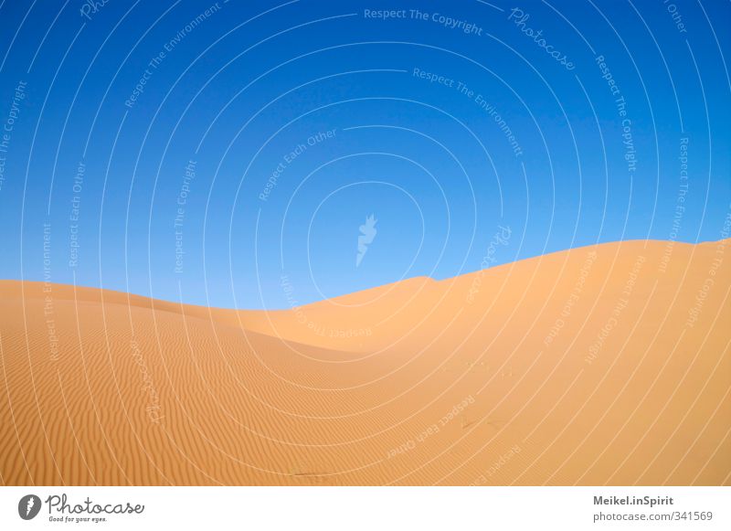 Düne Umwelt Landschaft Sand Klima Klimawandel Schönes Wetter Wärme Dürre Wüste Sahara Erg Chebbi Unendlichkeit heiß trocken blau braun gelb Warmherzigkeit ruhig