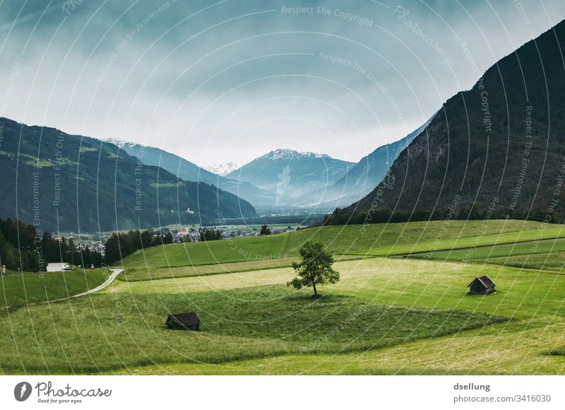 Einzelner Baum auf einer Alm mit Bergen im Hintergrund Gipfel Alpen Felsen Schönes Wetter Klima Landschaft Natur Umwelt wandern Berge u. Gebirge Sommerurlaub