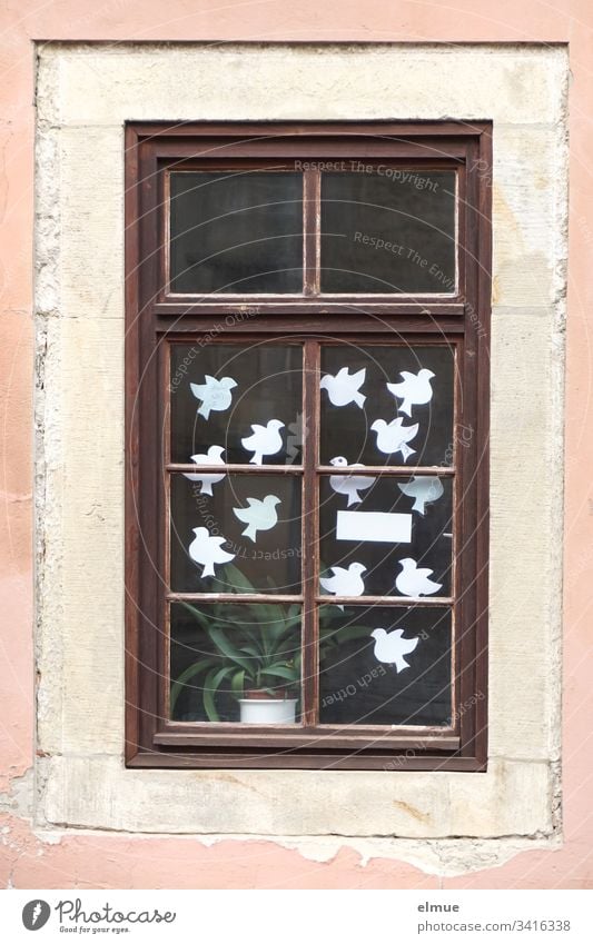 weiße Papiertauben hinter einem Fenster Taube weiße Tauben Glasfenster Vogel Symbol Friedenstaube Haus Wunsch wünschen Farbfoto Menschenleer Tier Darstellung