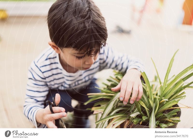 Kleiner Junge beschneidet Blumentopf zu Hause als Gärtner Kind Beschneidung 3-4 Jahre alt 4-5 Jahre alt Kinder geschnitten heimwärts Gartenarbeit Pflanzen patio