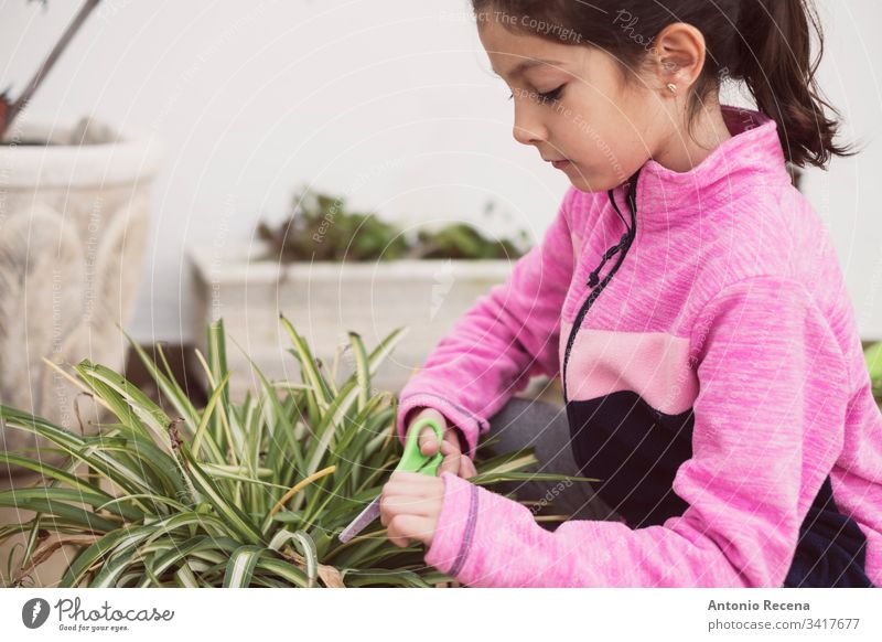 Mädchen, das die Töpfe in ihrem Hausgarten beschneidet 6-7 Jahre Säugling Beschneidung allein eine Person Gärtner heimwärts Gartenarbeit Pflanzen patio Frühling