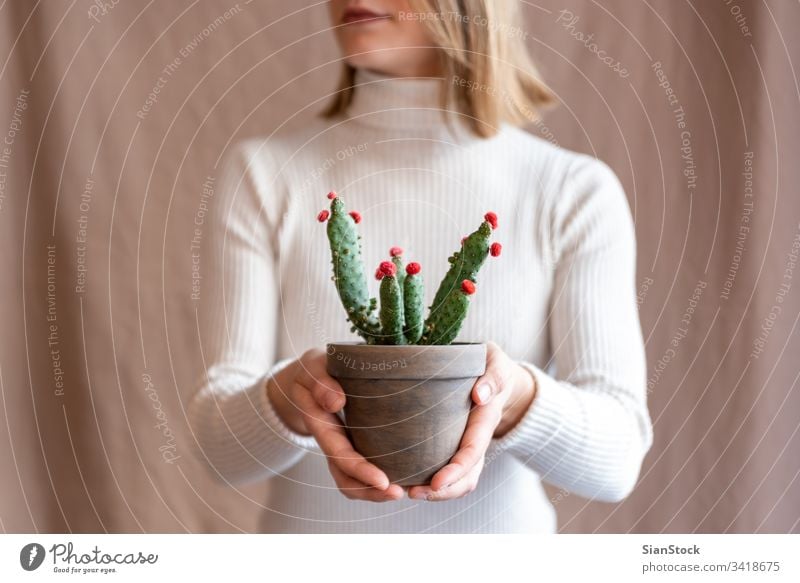 Frau hält einen Kaktus-Topf Blume Beteiligung Halt Hände Pflanze Blumenhändler Geschenk geblümt im Innenbereich zeigen Lippen Mund Hintergrund Person Blütezeit