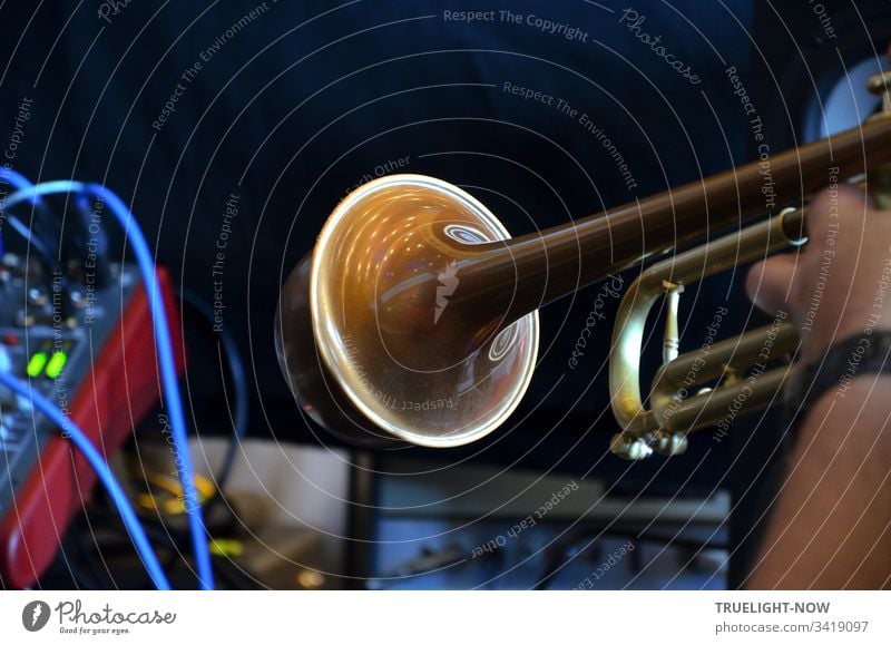 Elektronische Musik: Trompete mit wah-wah Dämpfer, im Musik-Studio gespielt, elektronisch verstärkt mit blauem Kabel an Mischpult angeschlossen, Musikinstrument