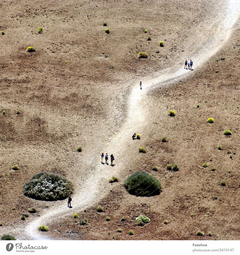 Der Weg ist das Ziel - oder ein Weg in einer wüstenartigen Umgebung auf dem winzige spazierende Menschen am Fuße des Teide im Teide Nationalpark auf der spanischen Insel Teneriffa zu sehen sind