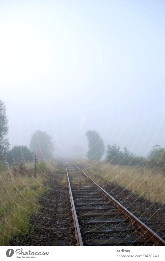 Es fährt ein Zug nach Nirgendwo .... Bahn Eisenbahn Schienen Fluchtpunkt Ungewissheit Angst Existenzangst Schotter Gleisbett Büsche Verkehr Gleise