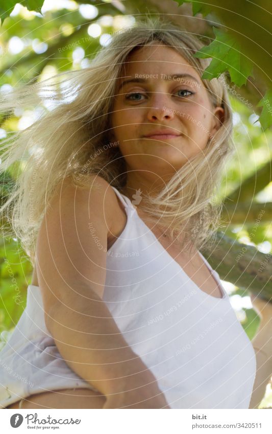 Junge blonde Frau sitzt in einem Baum im Sommer, umgeben von Blättern und schaut fröhlich hinunter in den Garten. Porträt Junge Frau Haare & Frisuren