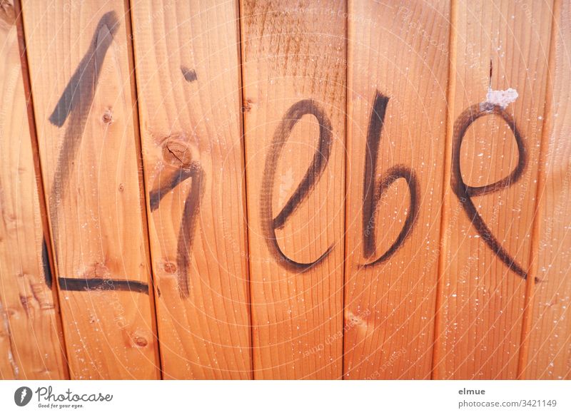 Wort "Liebe" an eine hellbraune Holzwand geschrieben Buchstabe schreiben Schmiererei Liebesbezeugung Mitteilung verliebt Schriftzeichen Information