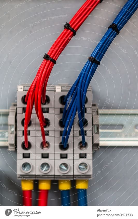 exponentielle Vervielfältigung (gebündelt) Kabel Elektrizität blau Technik & Technologie Elektrisches Gerät rot Kraft Energiewirtschaft Leitung Verbindung
