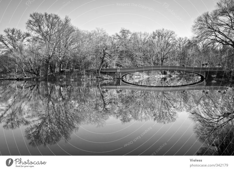 ...double Hauptstadt Park Brücke Sehenswürdigkeit Central Park Erholung Bekanntheit Romantik schön ruhig New York State Reflexion & Spiegelung Schwarzweißfoto