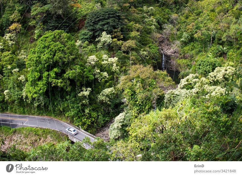 Auto fährt auf einer einspurigen Straße im Dschungel mit Wasserfall reisen Autobahn Laufwerk fahren Hana Maui Hawaii Tourismus Abenteuer entdecken Urlaub
