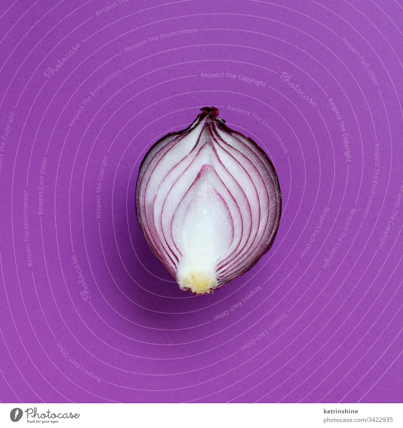 Violette Zwiebel auf violettem Hintergrund purpur Draufsicht oben rot aufgeschnitten Hälfte Lebensmittel Gesundheit Monochrom roh organisch Gemüse Bestandteil