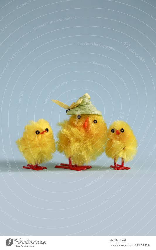 Ostern, Familie von Deko Küken und Huhn Hühner Osterei Osterhase Osternest Nest Tradition Frühling cool bunt Strohhut Osterfest Dekoration & Verzierung
