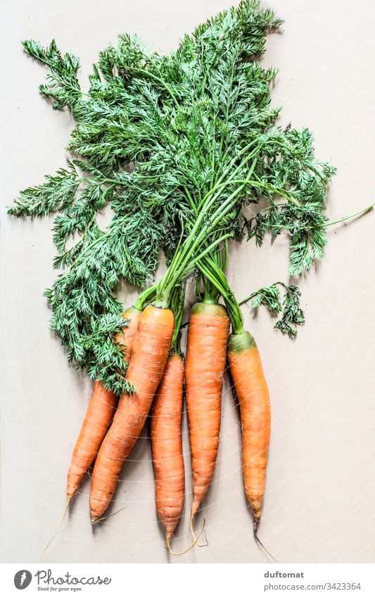 ein Bund Karotten mit grün Natur Gelberübe bäuerlich Bio Gemüse Möhre Möhrchen natürlich ländlich frisch Gesundheit Lebensmittel Vegetarische Ernährung