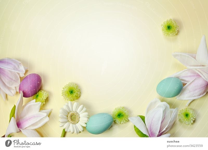 ostereier und frühlingsdekoration auf gelbem hintergrund Ostern Ostereier gekochte Eier bunte Eier Blumen Blüte Astern asternähnliche Blume Blütenblätter