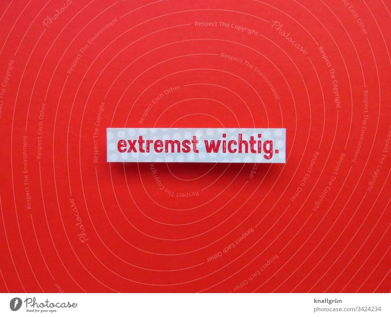 extremst wichtig Kommunikation Kommunizieren Schriftzeichen Sprache Wort Buchstaben Typographie Lateinisches Alphabet Text Farbfoto Freisteller