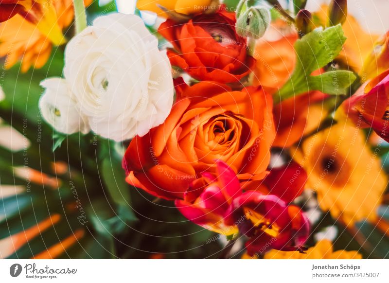 Draufsicht auf einen bunten Blumenstrauß mit Gerbara, Freesien, Rosen und Rosa Damascena in Nahaufnahme Blütezeit Blumenschmuck Hintergrund schön Schönheit