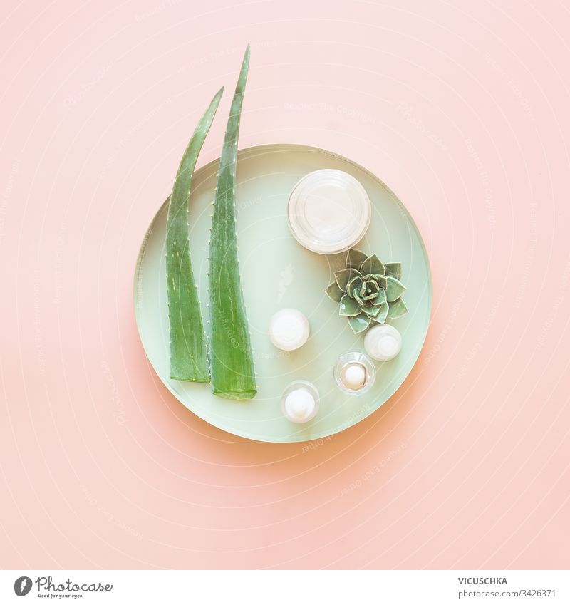 Moderne feuchtigkeitsspendende Kosmetikprodukte mit frischen Aloe Vera-Blättern auf hellgrünem Tablett auf pastellrosaem Hintergrund. Ansicht von oben. Moderne Gesichtshautpflege. Schönheitskonzept. Gestaltung