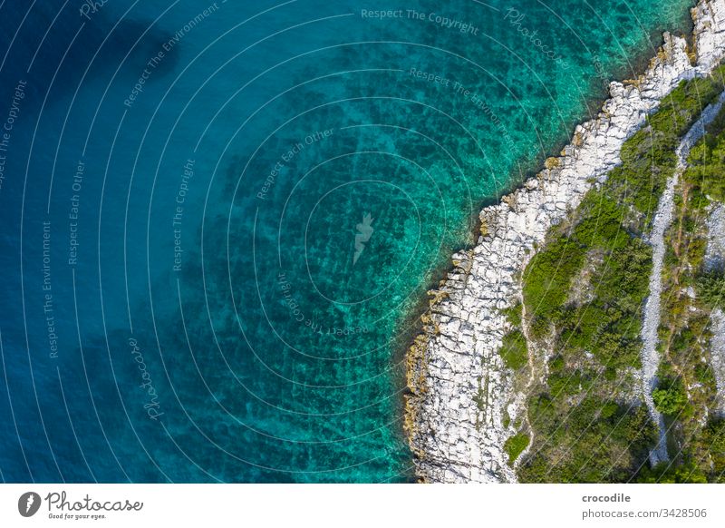Luftaufnahme Küste Kroatien Meer Meereslandschaft Wasser Ferien & Urlaub & Reisen Sommer schön Felsen klares Wasser Adria Drohnenansicht