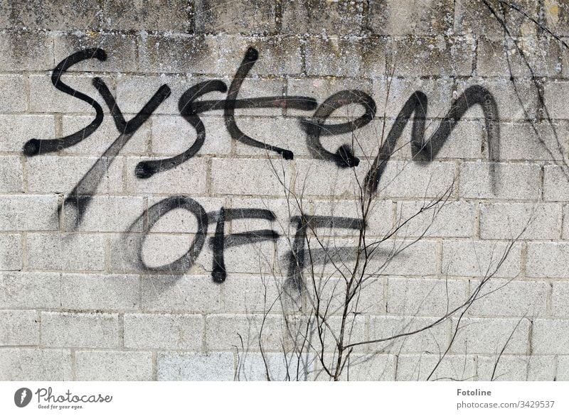So ist es gerade - oder Graffiti mit dem Schriftzug "System OFF" auf einer gemauerten Steinwand und im Vordergrund ein kahler Strauch Wand Mauer Außenaufnahme