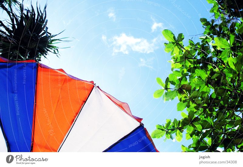 Nach oben geguckt Wolken Baum Palme Sonnenschirm dreifarbig grün weiß rot Blatt Ferien & Urlaub & Reisen Thailand Himmel blau