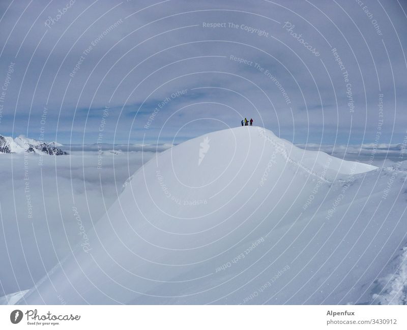 Seilschaft | Gipfeltreffen Gletscher Alpen Berge u. Gebirge Schnee Außenaufnahme Eis kalt Schneebedeckte Gipfel Natur Schönes Wetter Walliser Alpen Klimawandel