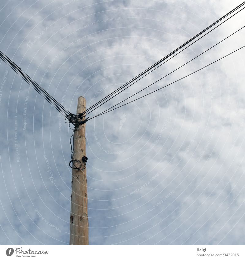 hoher Mast aus Holz mit vielen daran befestigten Stromleitungen vor bewölktem Himmel Strommast Kabel Energiewirtschaft Elektrizität Leitung