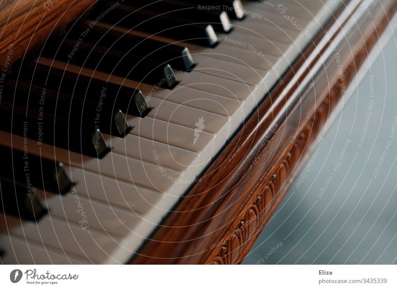Nahaufnahme eines schönen Klaviers aus Holz und seiner Tasten klavierflügel Klavierspielen musikalisch hübsch Ornamente Musik Musikinstrument Detailaufnahme