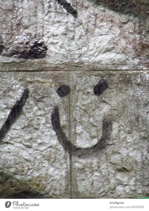 Graffiti lächelndes Gesicht an einer silbrig besprühten Wand Smiley Kunst Straßenkunst Lächeln Freundlichkeit Mauer Zeichen Fröhlichkeit Außenaufnahme Farbfoto