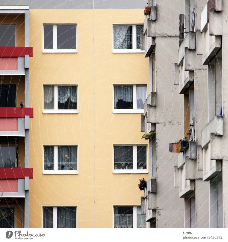 Nachbarschaft, vermutlich hellhörig haus fenster gardine trist grau gelb rot balkon eng nachbarschaft nah hochhaus wohnen architektur gebäude soziale Kontrolle