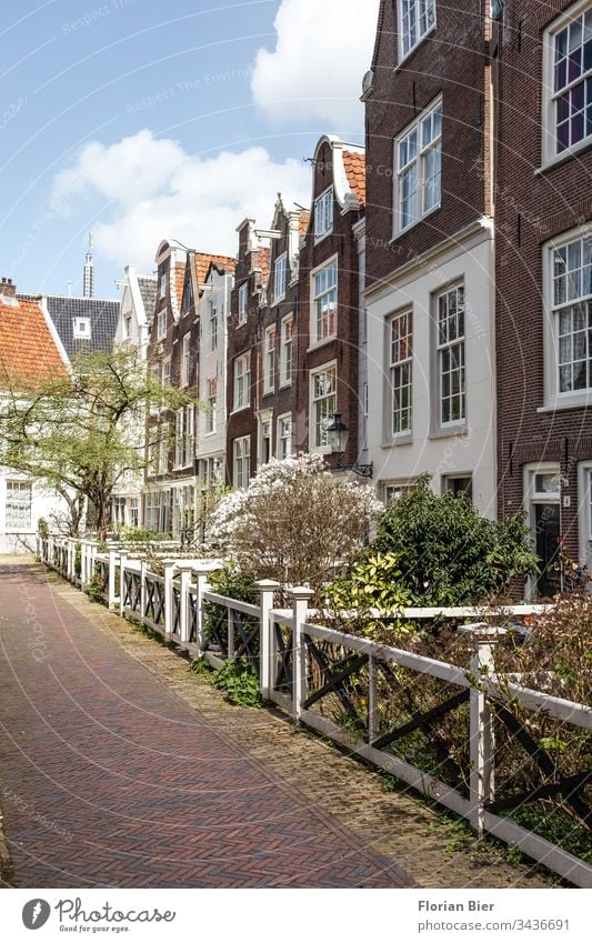 Wohnhäuser mit kleinen blühenden Vorgärten im Frühling in Amsterdam Niederlande Haus Eingang Fenster Fassade Victorianisch Baustil Fensterscheibe Symmetrie