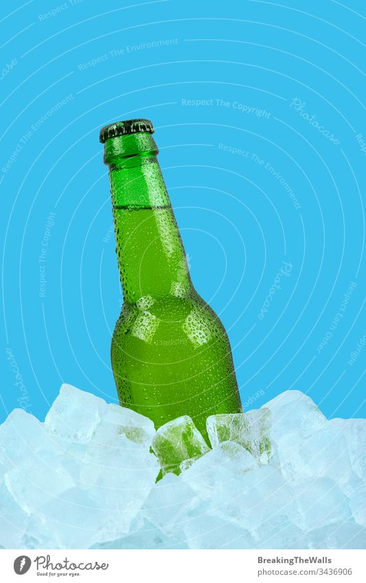 Eine Flasche kaltes Lagerbier auf Eiswürfeln auf blauem Hintergrund Bier Glas grün eine Würfel Steine Nahaufnahme vereinzelt Einzelhandel Anzeige tiefstehend