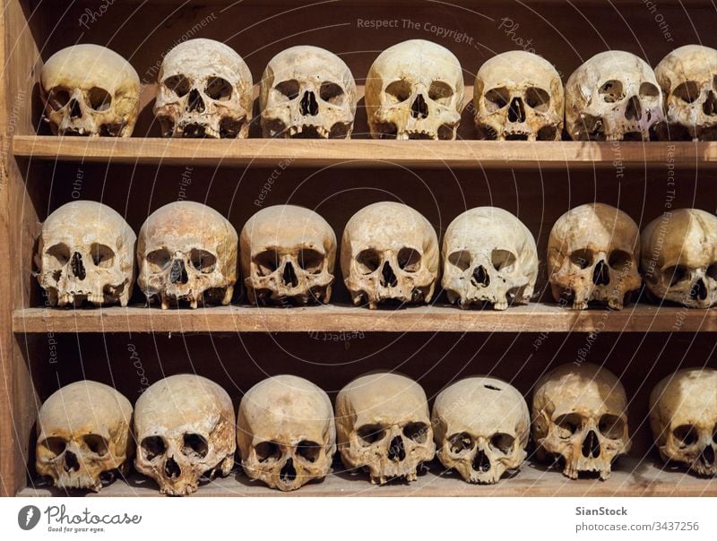 Menschliche Schädel im Kloster des Großen Meteoriten in Meteora, Griechenland Ossarium Kirche Skelett menschlich Innenbereich Europa Knochen Religion katholisch