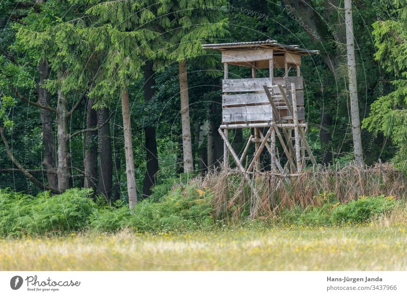 Jägerhochsitz am Waldrand vor einer Wiese mit grünem Hintergrund Hochsitz Jagd Aussichtspunkt Tiere Bäume Europa Tierhaut Natur im Freien Holz hölzern jagen