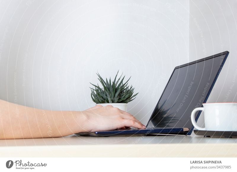 Junge Frau, die von zu Hause aus auf einem weißen Schreibtisch für einen Laptop arbeitet. Mädchen, das in ihrem Büro auf hellem Hintergrund mit einem tragbaren Computer auf der Tastatur schreibt