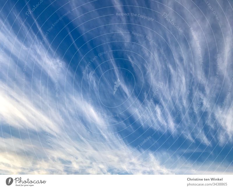 Zirruswolken Federwolken Wolken Himmel blau Stimmung Außenaufnahme weiß Natur Tag Wetter Schönes Wetter Klima Sonnenlicht Sommer Umwelt Klimawandel Hintergrund