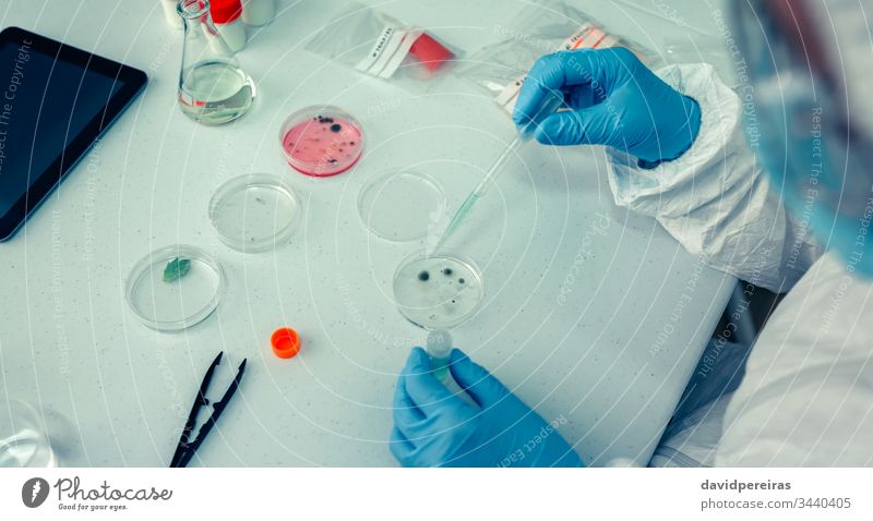 Wissenschaftlerin mit Petrischale im Labor Antenne Laborschale covid-19 Schutzhandschuhe Virus Erkundung Tropfen Tropfer Prüfung bakteriologische Schutzanzüge