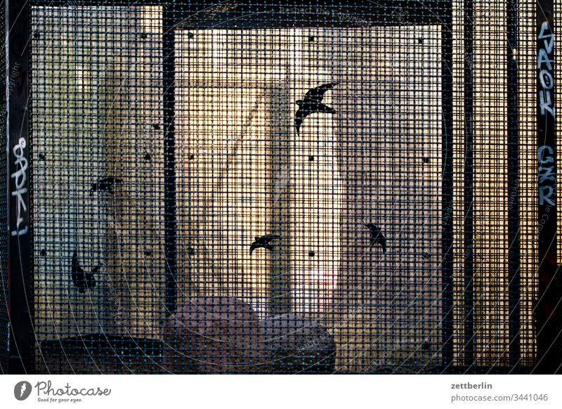 Voliere außen menschenleer textfreiraum voliere vogelvoliere käfig vogelkäfig zoo tierpark gefängnis gefangen eingesperrt vogelkunde gitter vergittert licht