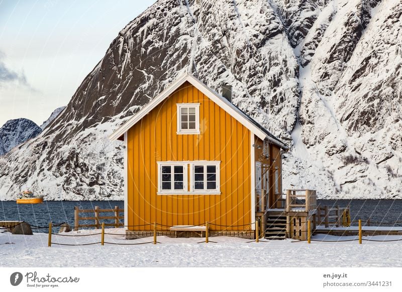 Kleines gelbes Haus am Fjord vor schneebedeckten Bergen Sakrisoy Lofoten," Lofoten Inseln Zaun Gelb Reisefotografie Einfamilienhaus Idylle Ferienhaus Rorbuer