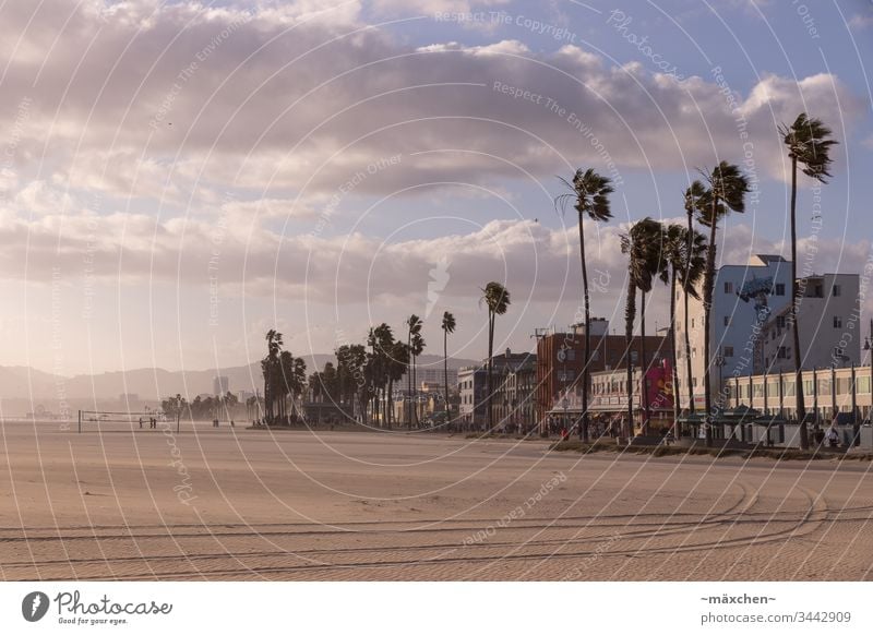 Venice Beach Los Angeles Kalifornien Ferien & Urlaub & Reisen Außenaufnahme Strand USA Himmel Wolken blau Tourismus Palme Sonnenuntergang sonnig Erholung Häuser