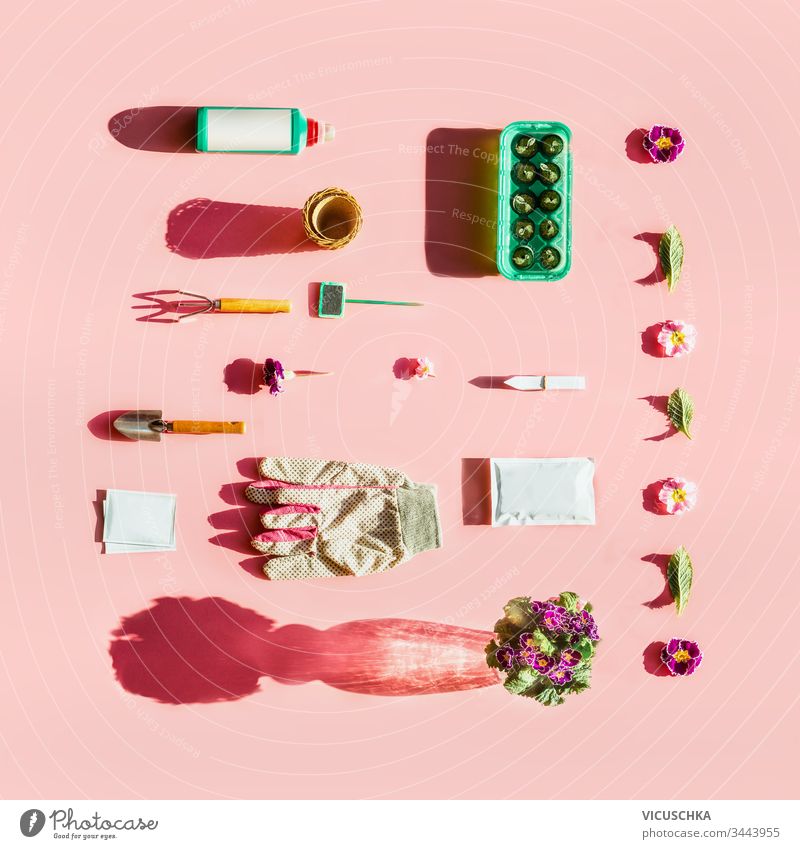 Gartengeräte im Sonnenlicht mit Pflanzensamenbeuteln, Düngerflasche, Blumentöpfen, Gartenschild und Torfpflanztabletten auf rosa Hintergrund. Ansicht von oben. Muster. Flach gelegt. Branding-Attrappe. Kreativ