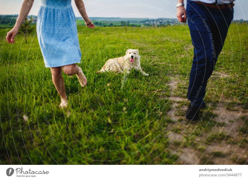 glückliche Hündin ruht sich mit ihrem Besitzer in der Natur aus. viel Spaß mit ihrem Hund im Park Glück Haustier Menschen Lifestyle Liebe niedlich Fröhlichkeit