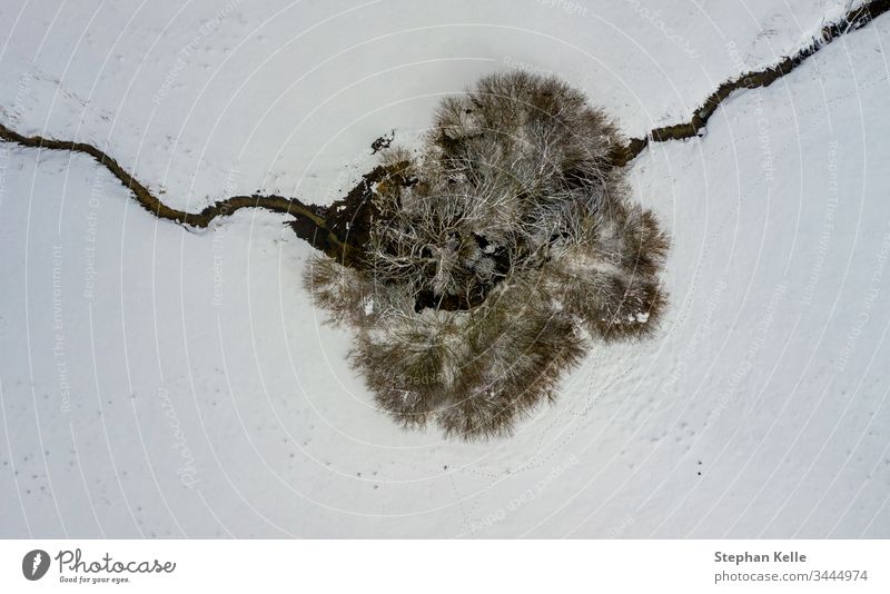 Luftperspektive auf einen einzelnen Baum und ein überquerendes Flüsschen in einer winterlichen Draufsicht. Winter Schnee Single Fluss Bach allein Textfreiraum