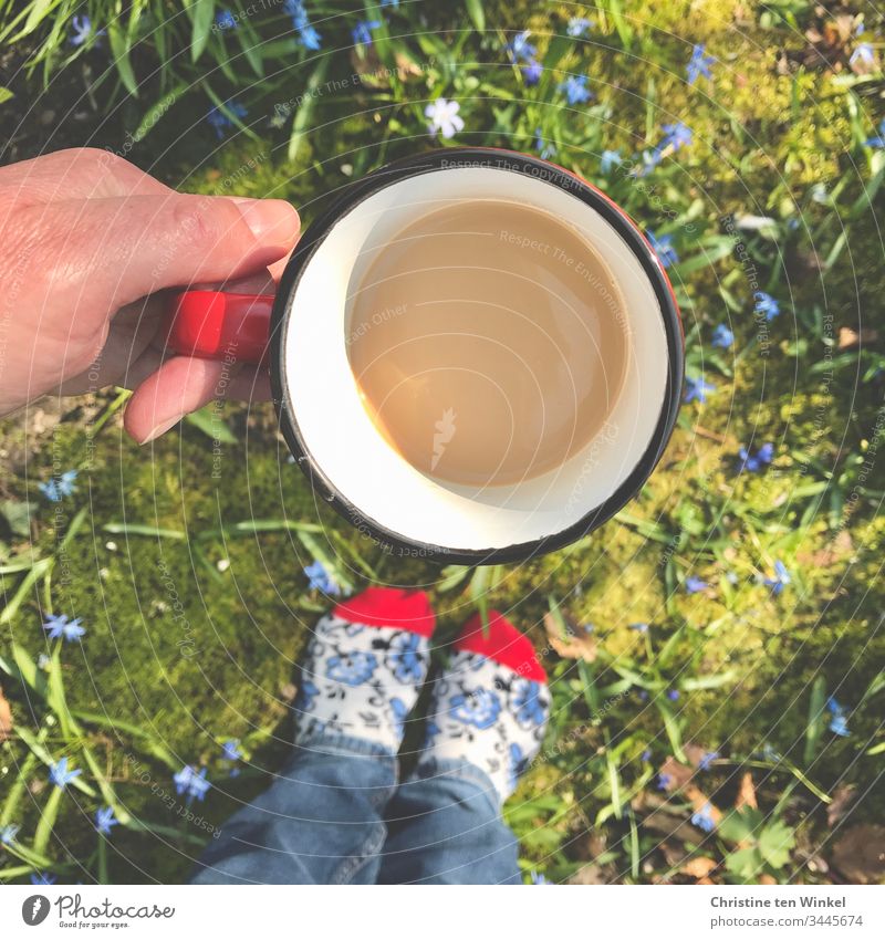 Hand hält Kaffeetasse, Blumenbeet mit blauen Blumen, bunte Socken, Vogelperspektive Kaffeebecher Becher Natur Kaffeepause rot grün weiß Kaffeetrinken Tasse