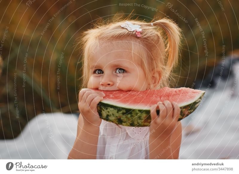 Lustiges Porträt eines unglaublich schönen rothaarigen kleinen Mädchens, das Wassermelone isst, einen gesunden Fruchtsnack, ein bezauberndes Kleinkind mit lockigem Haar, das an einem heißen Sommertag in einem sonnigen Garten spielt.