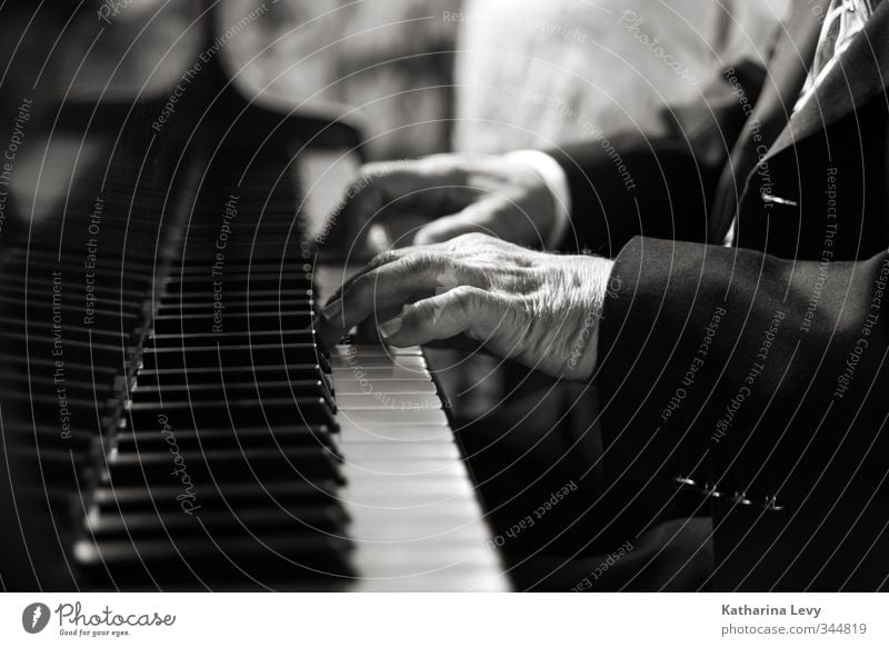 Ave Maria Hochzeit Mann Erwachsene Männlicher Senior Hand Finger 1 Mensch 60 und älter Anzug Musik hören ästhetisch authentisch schwarz weiß Kreativität Klavier